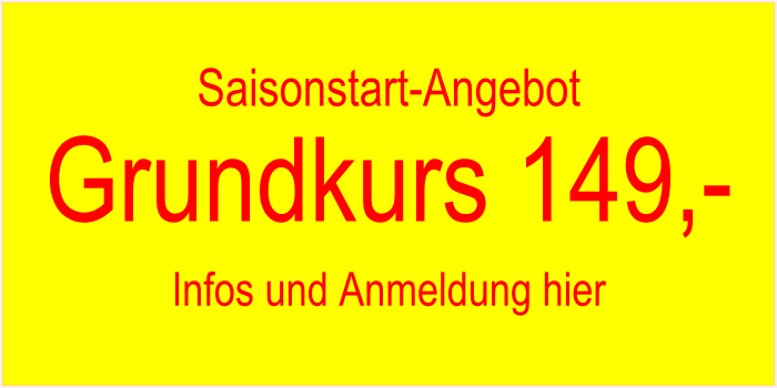 sale2011.png